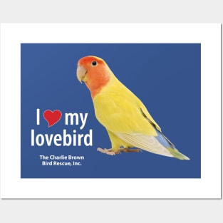 CB Lovebird 3 Posters and Art